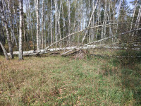 IMG_20240913_114207.jpg