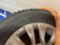 IMG_8014.jpeg