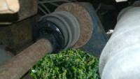 IMG_20240901_171624.jpg