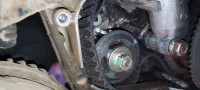 IMG_20240925_162731.jpg