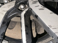 IMG_1313.jpeg