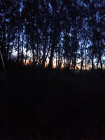 IMG_20240731_040907_658.jpg