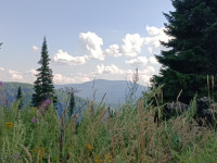 дорожные виды