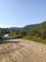 IMG_20240802_081345_731.jpg
