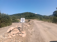 золотари