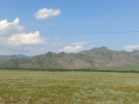 IMG_20240802_152235_920.jpg