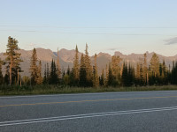 IMG_20240802_200007_477.jpg