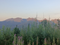 IMG_20240802_200611_256.jpg