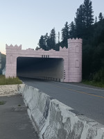 IMG_20240802_201146_004.jpg