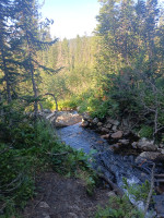 IMG_20240803_082939_985.jpg