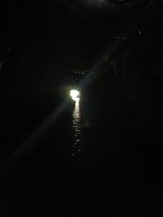 IMG_20240804_122058_167.jpg