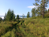IMG_20240805_075238_448.jpg