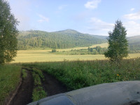 IMG_20240805_080058_753.jpg