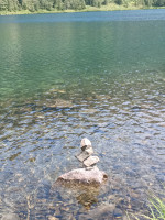 IMG_20240805_140049_781.jpg