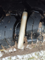 IMG_20241104_113409.jpg (4.12 МБ) 4809 просмотров Это мой Китай