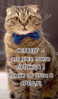 Screenshot_2024-11-27-17-21-08-935_com.instagram.android-edit.jpg