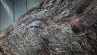 IMG-20241112-WA0018.jpeg