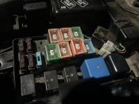 IMG_7555.jpeg