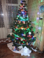 IMG_20241227_184554.jpg