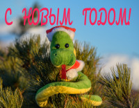 IMG-20241231-WA0035.jpg