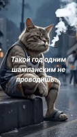 IMG-20241231-WA0037.jpg