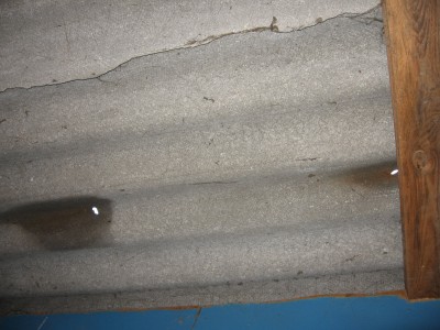 IMG_0018.jpg