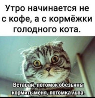Screenshot_2025-02-03-09-23-41-892_com.instagram.android-edit.jpg