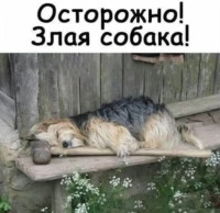 13402814_800.jpg