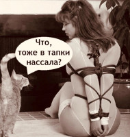 Screenshot_20250323_095603_Yandex Browser.jpg