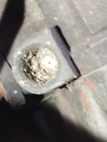 IMG_20250414_112512_081.jpg