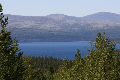 Гуляем