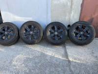 IMG_5157.jpeg