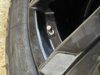 IMG_5163.jpeg