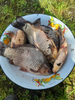 IMG-20250521-WA0002.jpg