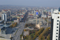 DSC_0337.JPG