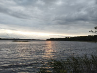 IMG_20250613_205839.jpg
