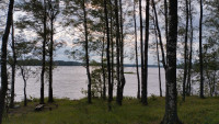 IMG_20250613_182810_204.jpg