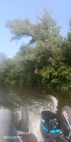 IMG_20250613_074506_698.jpg