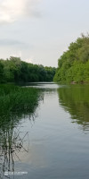 IMG_20250612_173529_287.jpg