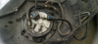 IMG_20250628_141339.jpg
