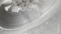 1753203727444.jpg