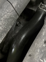 IMG_4051.jpeg