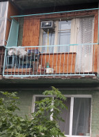 IMG_20250812_230404.jpg