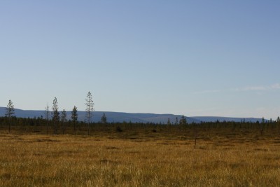 IMG_3873.JPG