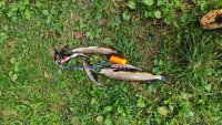 IMG-20250829-WA0017.jpeg