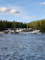IMG_20250831_160527.jpg