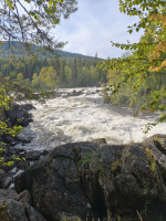 IMG_20250903_150228.jpg