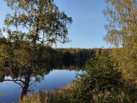 IMG_20250910_172950.jpg