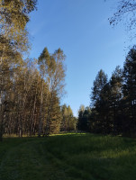 IMG_20250910_164401.jpg
