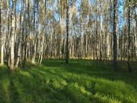 IMG_20250910_164335.jpg